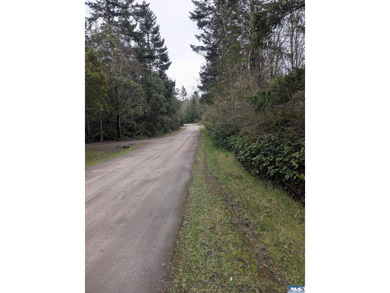 1.08-acre build-ready lot with water already connected! Treed - photo 7
