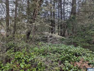 1.08-acre build-ready lot with water already connected! Treed - photo 9