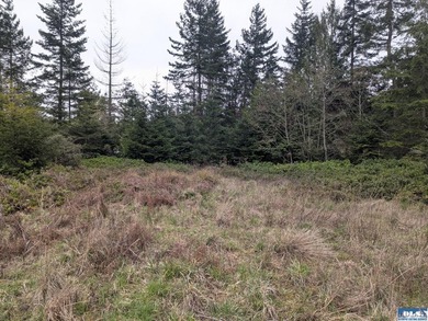 1.08-acre build-ready lot with water already connected! Treed - photo 10