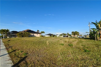 Rare Triple Gulf Access Lot with Seawall, Dock & Lift - Ready to - photo 7