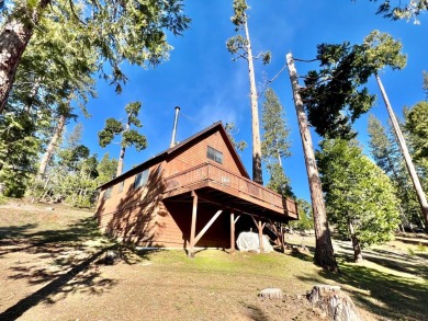 Lake Home For Sale in Arnold, California