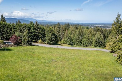 Prime one-acre lot in Sequim with stunning water views - photo 5