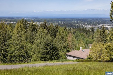 Prime one-acre lot in Sequim with stunning water views - photo 6