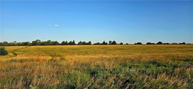 The Hillsdale Ranch is over 260+ acres of gently rolling - photo 11