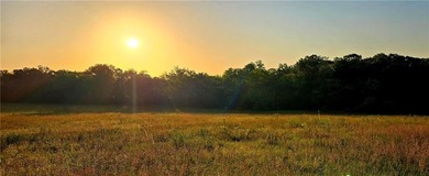 The Hillsdale Ranch is over 260+ acres of gently rolling - photo 12