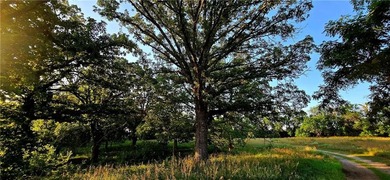 The Hillsdale Ranch is over 260+ acres of gently rolling - photo 15