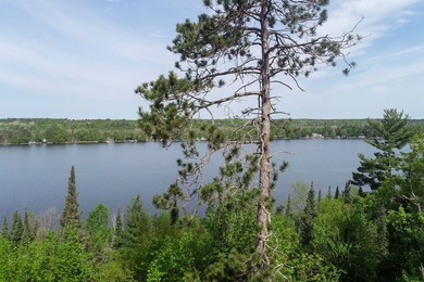 Rare opportunity on the shores of Lake St. Croix, offering the - photo 5