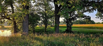 The Hillsdale Ranch is over 260+ acres of gently rolling - photo 18
