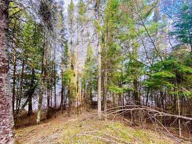 Rare opportunity on the shores of Lake St. Croix, offering the - photo 8