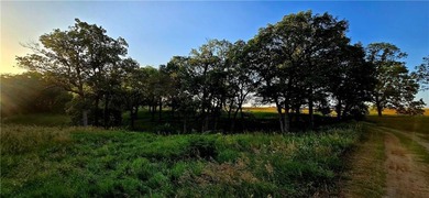 The Hillsdale Ranch is over 260+ acres of gently rolling - photo 21