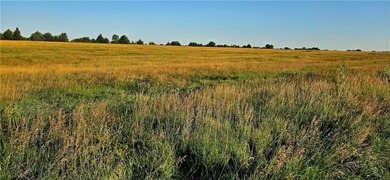 The Hillsdale Ranch is over 260+ acres of gently rolling - photo 22