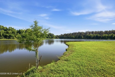 Welcome to Rose Hill Plantation, an extraordinary 388 surveyed - photo 32