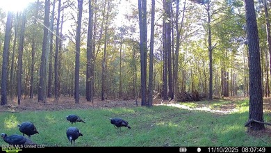 Welcome to Rose Hill Plantation, an extraordinary 388 surveyed - photo 36