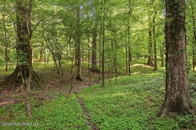 Welcome to Rose Hill Plantation, an extraordinary 388 surveyed - photo 38