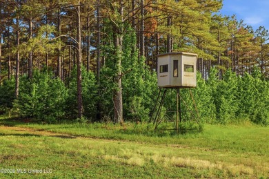 Welcome to Rose Hill Plantation, an extraordinary 388 surveyed - photo 39