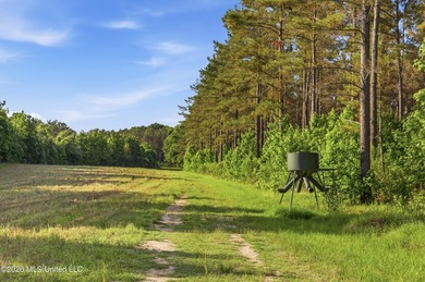 Welcome to Rose Hill Plantation, an extraordinary 388 surveyed - photo 40