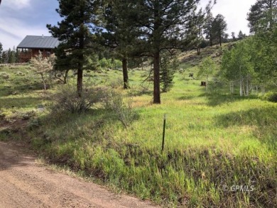 Panguitch Lake Lot For Sale in Panguitch Lake Utah