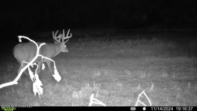 Welcome to Rose Hill Plantation, an extraordinary 388 surveyed - photo 41