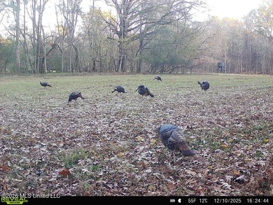 Welcome to Rose Hill Plantation, an extraordinary 388 surveyed - photo 44