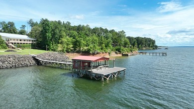 Stunning Lakefront Retreat with Breathtaking Views! Escape to - photo 4