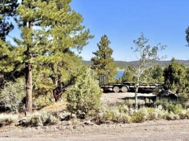 Panguitch Lake Lot For Sale in Panguitch Lake Utah