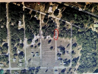 Lake Weir Lot For Sale in Summerfield Florida