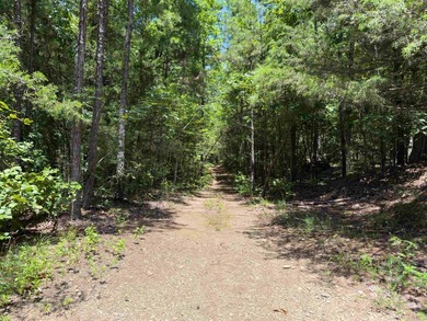 Lake Front w/ good access trails down to Greers Ferry Lake. 17 - photo 25