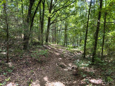 Lake Front w/ good access trails down to Greers Ferry Lake. 17 - photo 33