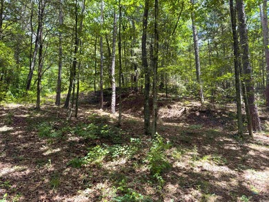 Lake Front w/ good access trails down to Greers Ferry Lake. 17 - photo 34
