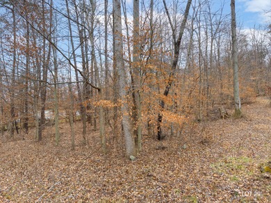Ideal building lot located in the desirable Somersport Place - photo 5