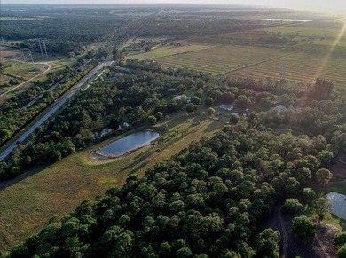 9.05 ACRE property with 4bed/2Bath ranch! Property has access to - photo 10