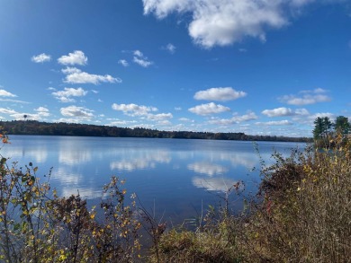 Weyauwega Lake Acreage For Sale in Weyauwega Wisconsin