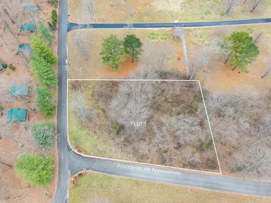 Prime Lake Cumberland Building Lot at Fountain Way Entrance - photo 2