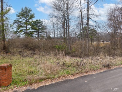 Prime Lake Cumberland Building Lot at Fountain Way Entrance - photo 7