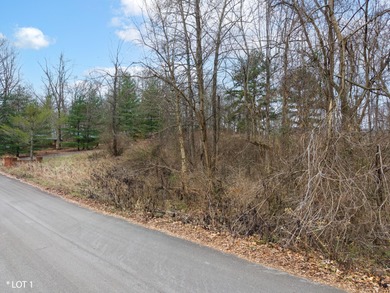 Prime Lake Cumberland Building Lot at Fountain Way Entrance - photo 9