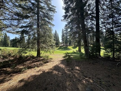 Build your dream home at award-winning Bailey Creek Golf Course! - photo 5