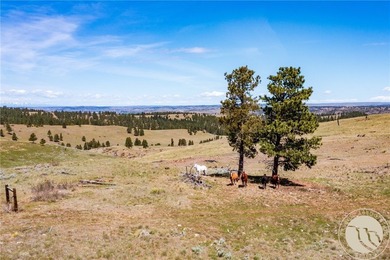 1,677+/-; acres of Montana opportunity. This rare property - photo 12