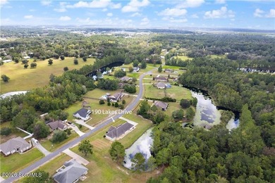 Immaculate LAKEFRONT home with updates throughout and a brand - photo 38