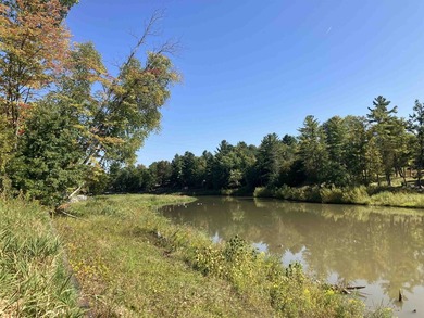 (private lake, pond, creek) Lot For Sale in Gladwin Michigan
