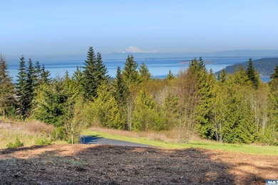 BIG water views and elbow room in one of Sequim's finest - photo 1
