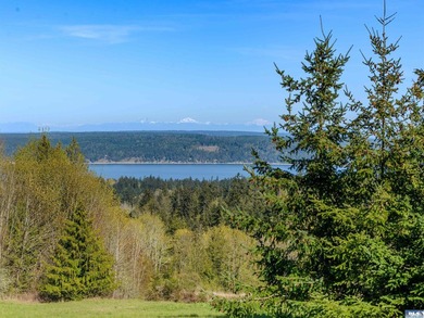 BIG water views and elbow room in one of Sequim's finest - photo 2