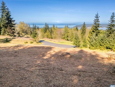 BIG water views and elbow room in one of Sequim's finest - photo 3