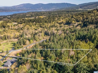BIG water views and elbow room in one of Sequim's finest - photo 6