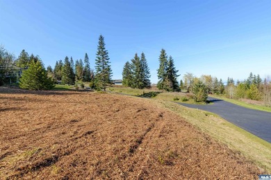 BIG water views and elbow room in one of Sequim's finest - photo 7