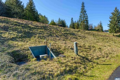 BIG water views and elbow room in one of Sequim's finest - photo 9