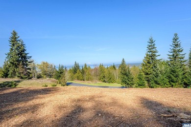 BIG water views and elbow room in one of Sequim's finest - photo 10