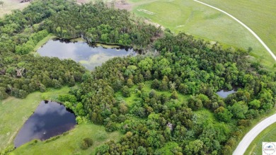 Lake Acreage For Sale in Lincoln, Missouri