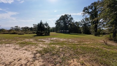 (private lake, pond, creek) Home For Sale in Atlanta Texas