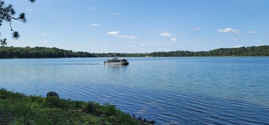 Discover the stunning lakefront property on the idyllic Simms - photo 4