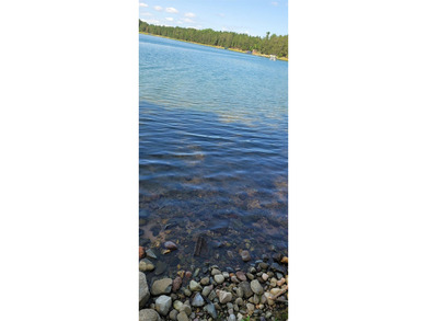 Discover the stunning lakefront property on the idyllic Simms - photo 5